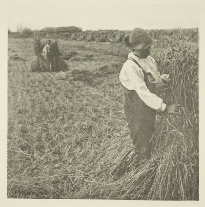 Shocking Corn (Norfolk) av Peter Henry Emerson