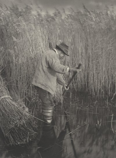 En sivkutter på jobb av Peter Henry Emerson and T.F. Goodall
