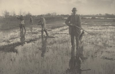 Snipe-skyting av Peter Henry Emerson and T.F. Goodall