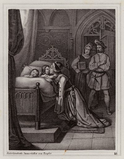  av Peter Johann Nepomuk Geiger