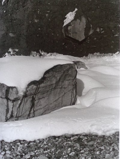 VINTAGE B&W PHOTO No.3, 1985, (FOTO) av Peter McClure