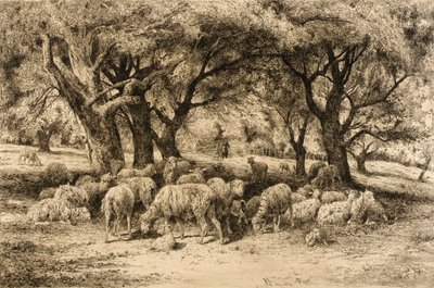  av Peter Moran