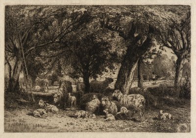  av Peter Moran