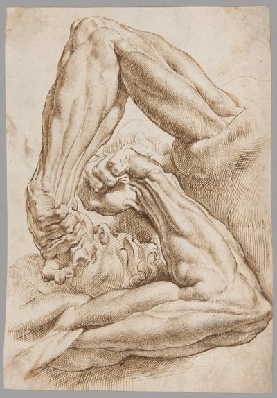 Et ark med anatomiske studier av Peter Paul Rubens