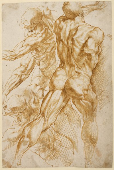  av Peter Paul Rubens