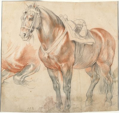 Salet hest. Rundt 1615-18 av Peter Paul Rubens