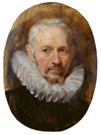 Hodet til en gammel mann (olje på panel) av Peter Paul Rubens