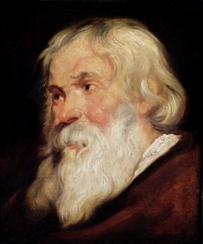 Leder av en gammel mann av Peter Paul Rubens
