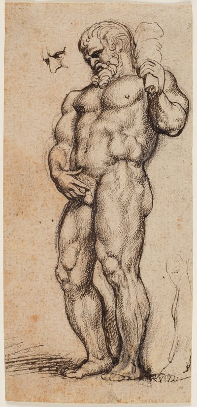 Herkules av Peter Paul Rubens