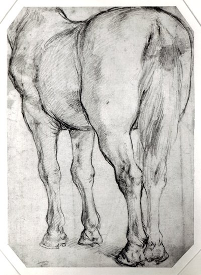 Hestens bakdel av Peter Paul Rubens