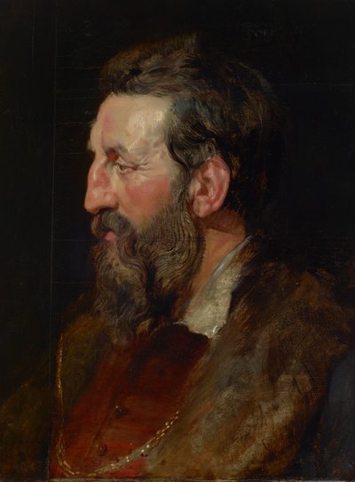 Portrett av en mann, ca. 1615 (olje på panel) av Peter Paul Rubens