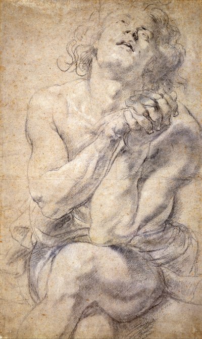 Sittende mannlig ungdom (studie for Daniel) av Peter Paul Rubens