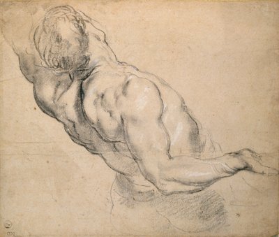 Studie av en naken mannlig Torso, 1600-1640 av Peter Paul Rubens