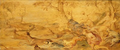 Ukjent bilde av Peter Paul Rubens