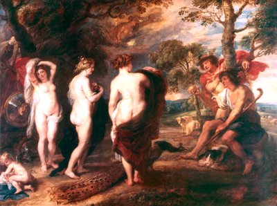Ukjent bilde av Peter Paul Rubens