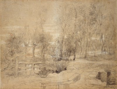 Woodland Scene, tidlig på 1600-tallet av Peter Paul Rubens