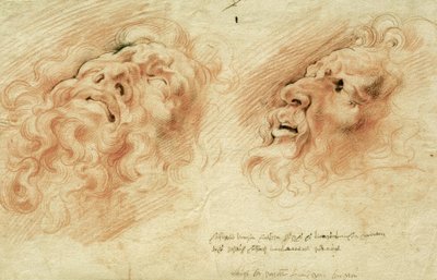 To studier etter lederen av Laocoon av Peter Paul Rubens