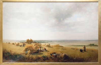 En kornåker av Peter de Wint
