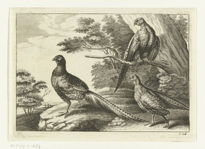 Tre fasaner Diversarum avium arter (serietittel) Forskjellige fugler (serietittel) av Peter van Liesebetten