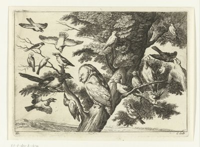 Fugler i et tre Diversarum avium arter (serietittel) Forskjellige fugler (serietittel) av Peter van Liesebetten