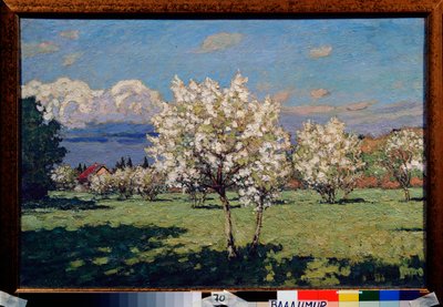 Kirsebærblomster. Maleri av Pyotr Ivanovich Petrovichev (Pyotr Petrovichev) (1874-1947), olje på lerret av Petr Ivanovic Petrovichev