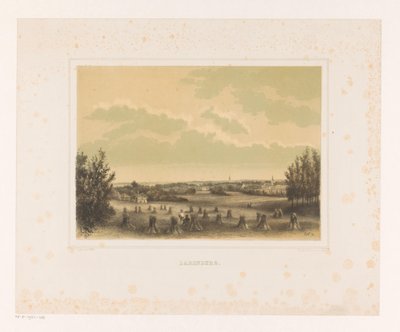 Utsikt over en eng med hveteskiver på Larenberg eiendom Larenberg (tittel på objekt) av Petrus Josephus Lutgers