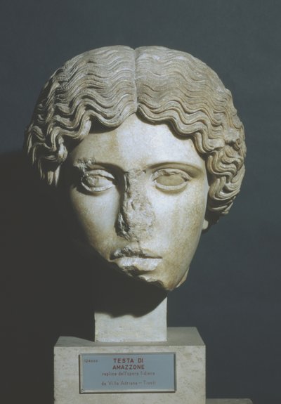 Amazons hode av Phidias Phidias