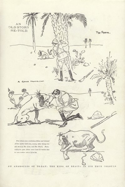 En androcle av i dag, kongen av dyr i sine sanne farger av Phil May