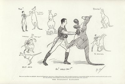 Den pugilistiske kenguruen av Phil May