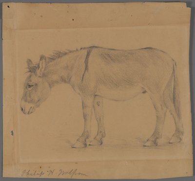 Esel (grafitt på papir) av Philip H. Wolfrom