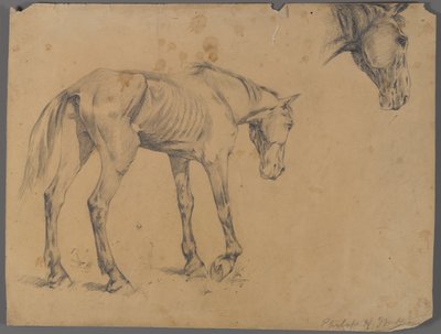 Heste- og hestehode (grafitt på papir) av Philip H. Wolfrom