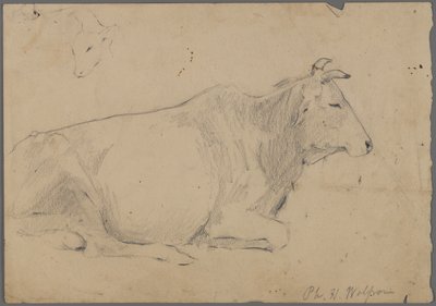 Sittende okse (grafitt på papir) av Philip H. Wolfrom