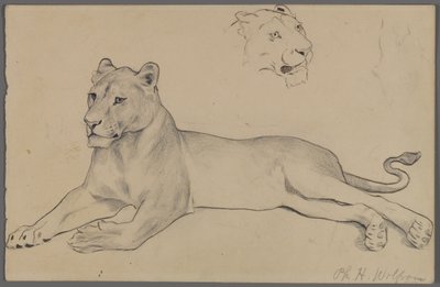 Sittende løvinne (grafitt og blekk på papir) av Philip H. Wolfrom