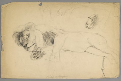 Sovende løve (grafitt på papir) av Philip H. Wolfrom
