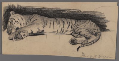 Sovende tiger (kull på papir) av Philip H. Wolfrom