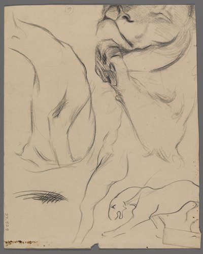 Studier av en løve (grafitt på papir) av Philip H. Wolfrom