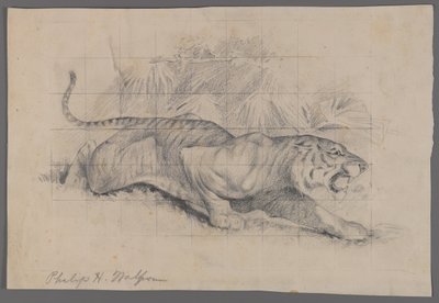 Tiger i landskap (grafitt på papir) av Philip H. Wolfrom