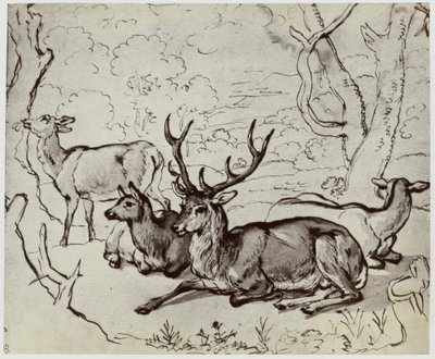 Ridinger, en hjort av Philip Henry Delamotte