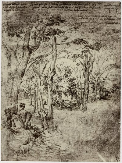 Titiaan, Design for et bilde av Philip Henry Delamotte