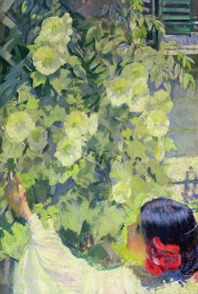  av Philip Leslie Hale