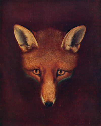 Renard the Fox, c1800, 1922 av Philip Reinagle