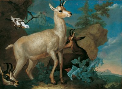Tre gemser og en svarttrost av Philipp Ferdinand de Hamilton