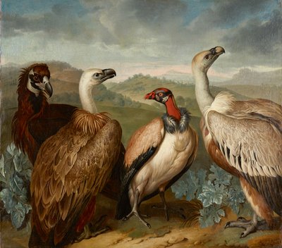 Fire gribber av forskjellige arter av Philipp Ferdinand de Hamilton