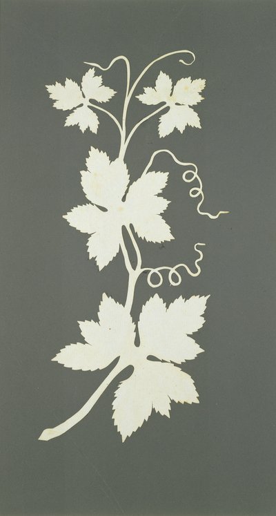 Humleplante (collage på papir) av Philipp Otto Runge