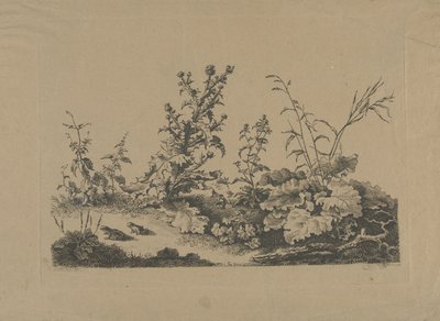 Landskapsstudie med tistler og frosker av Philippe Cardon