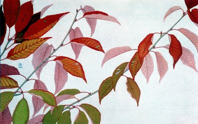 Autumn Leaves, av Philippe Robert, Robert Ried-utgaver av Philippe Robert