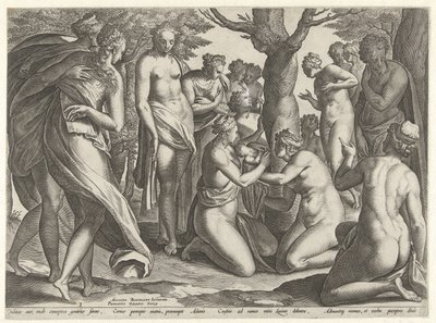 Fødsel av Adonis The Story of Adonis (serietittel) av Philips Galle