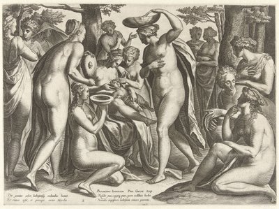 Utdanning av Adonis The Story of Adonis (serietittel) av Philips Galle