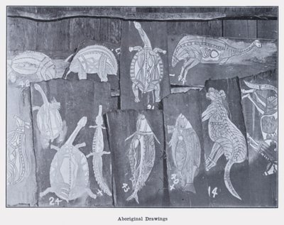 Aboriginale tegninger (s/hvitt-bilde) av Photographer Australian