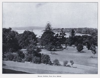 Botanic Gardens, Farm Cove, Sydney (s/hvitt bilde) av Photographer Australian